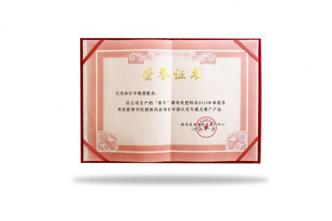 榮譽證書.